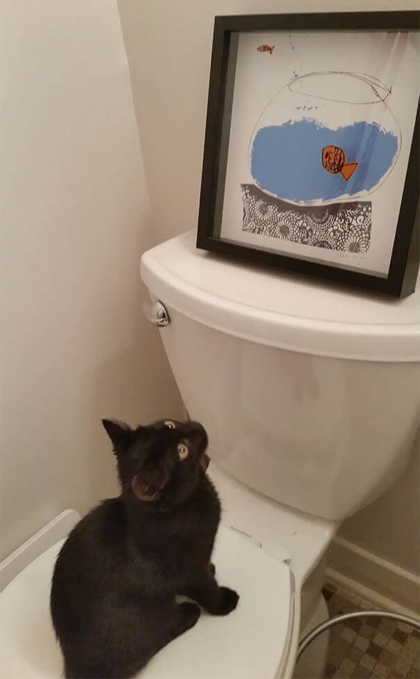 He Thinks It's A Real Fish