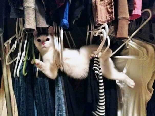 Nothing To See Here