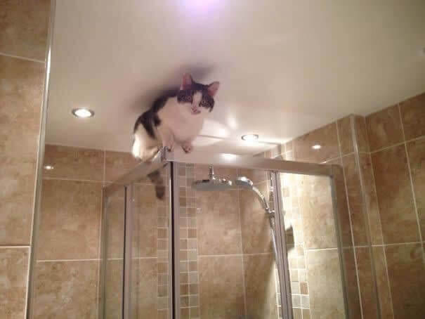 When You Hear Crying From The Bathroom and Walk In To Find This