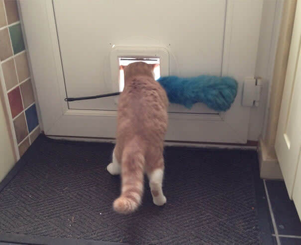 "Does This Fit Through Here?"