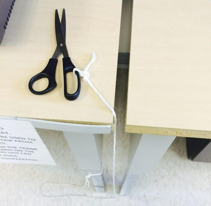 A Cut Above the Rest