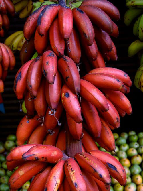 Plátano de frambuesa