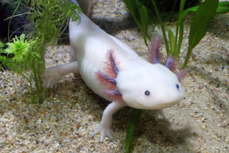 Fotos de erros feitos pela Mãe Natureza que nos deixaram de olhos arregalados