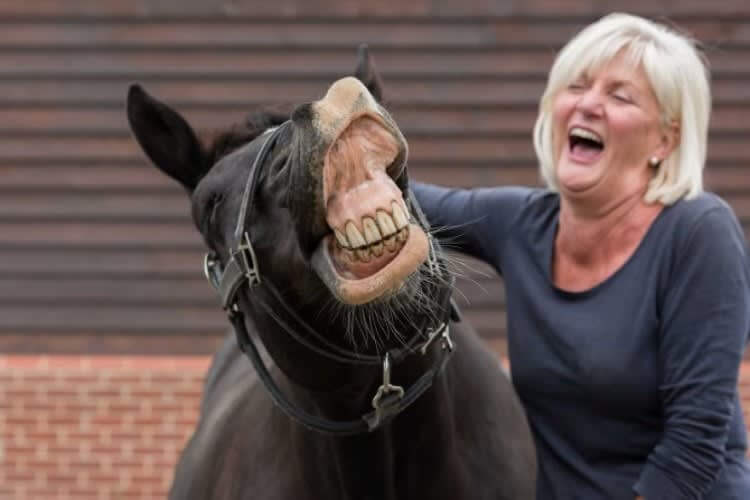 Not A Dentist Ad
