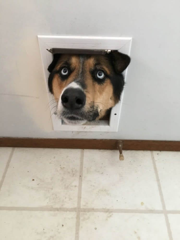 "Human, Don't Take The Photo Now!"