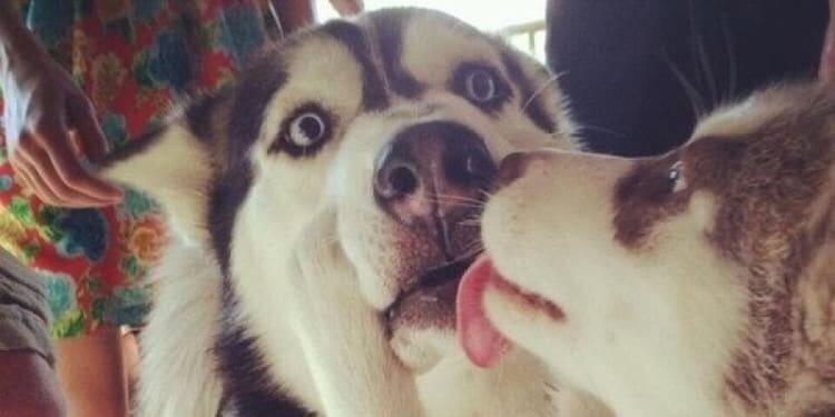 Still A Better Love Story Than Twilight