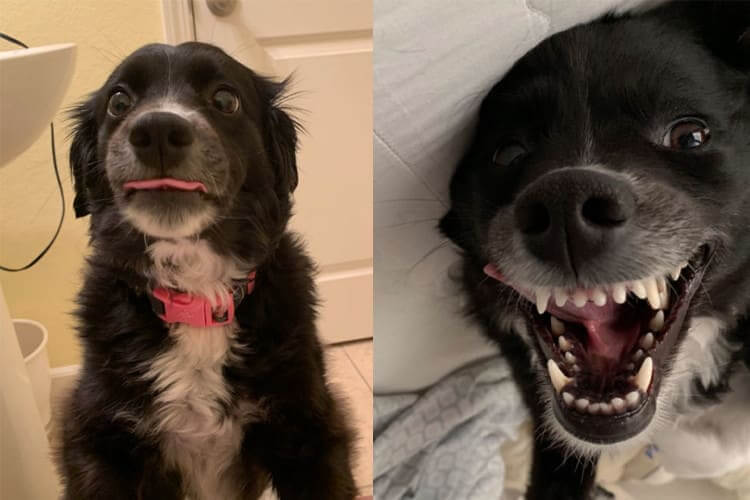 Oh, That Smile