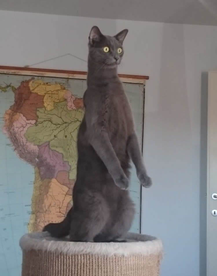 "What On Earth Is That?"