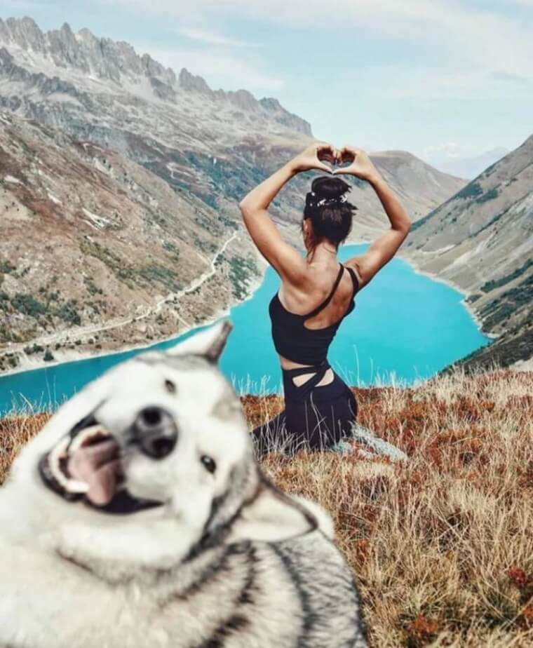 Se Não Tiver Um Cão, Você Realmente Caminhou?