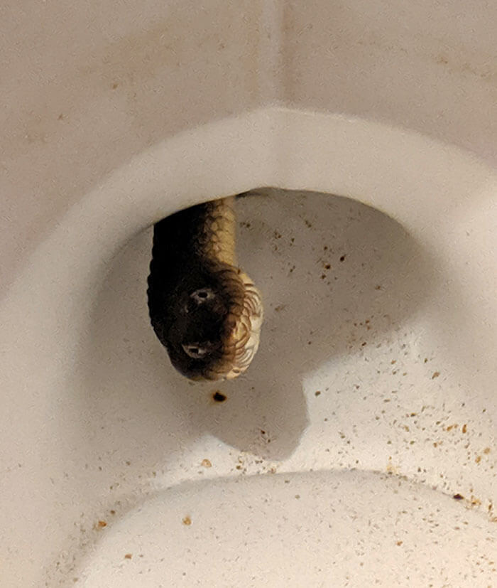 ​Anyone’s Worst Nightmare
