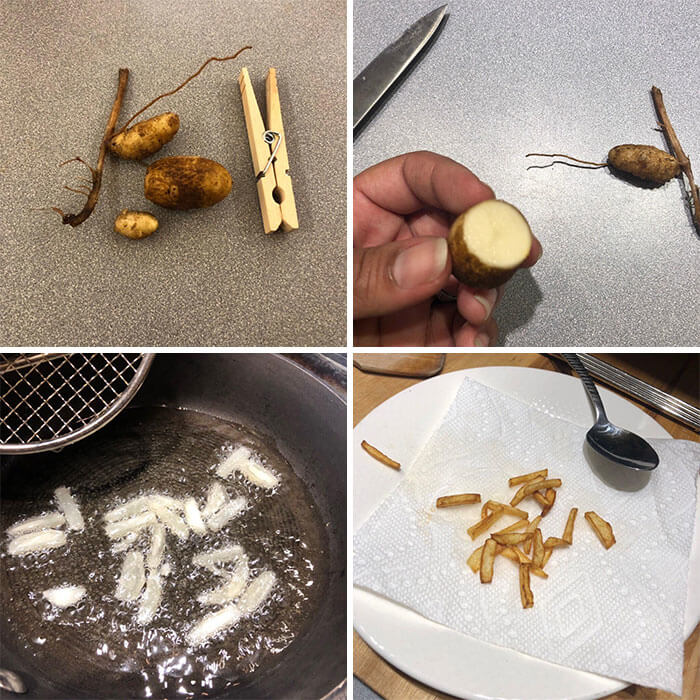 Growing Mini Potatoes