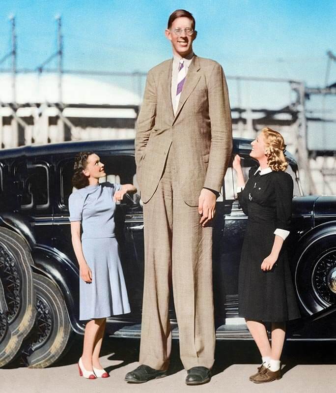 Robert Wadlow — 8'11'' (2. 72 M)