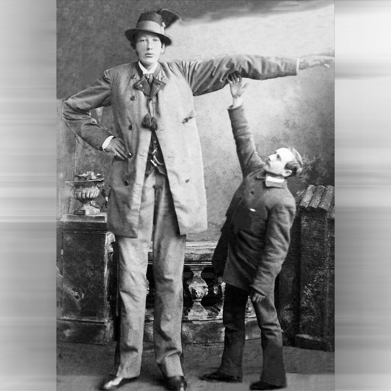 Franz Winkelmeier — 8'6'' (2. 59 M)