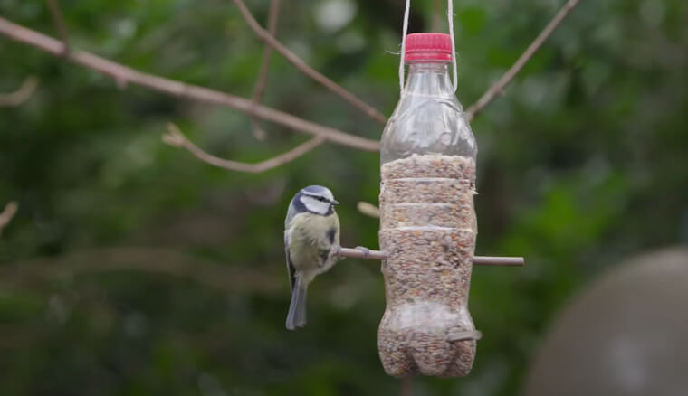 Birdhouses & Feeders