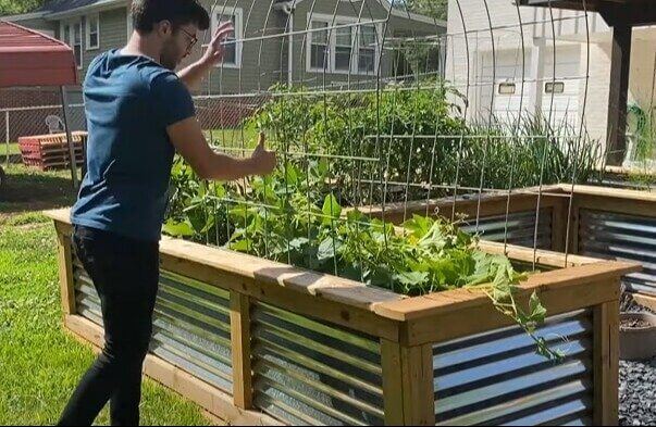 Garden Trellises & Arbors