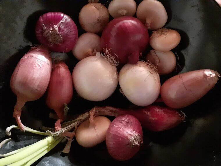 Onions