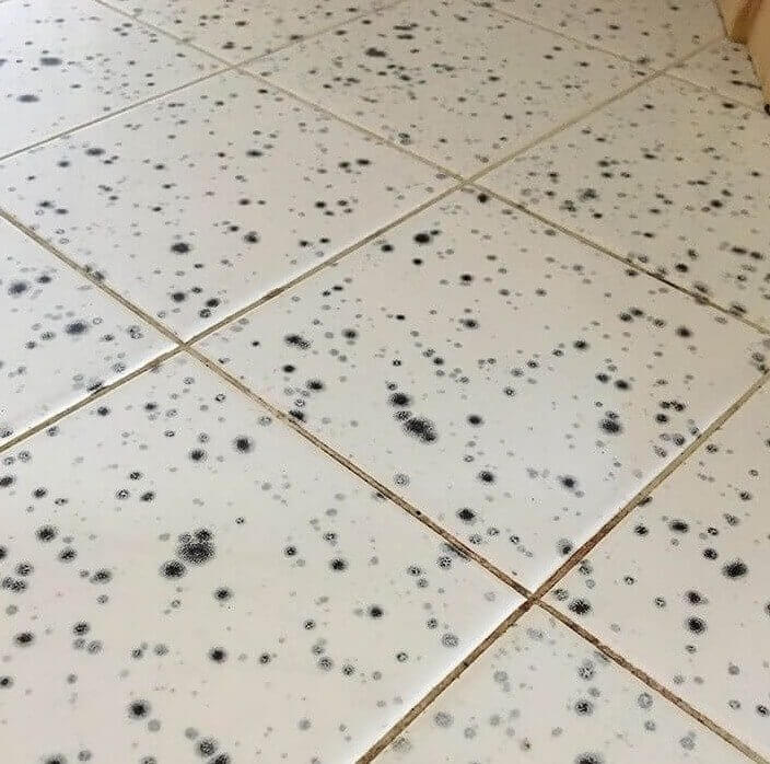 Mold-Patterned Floor: Perfect for Killing Your Guests' Appetites