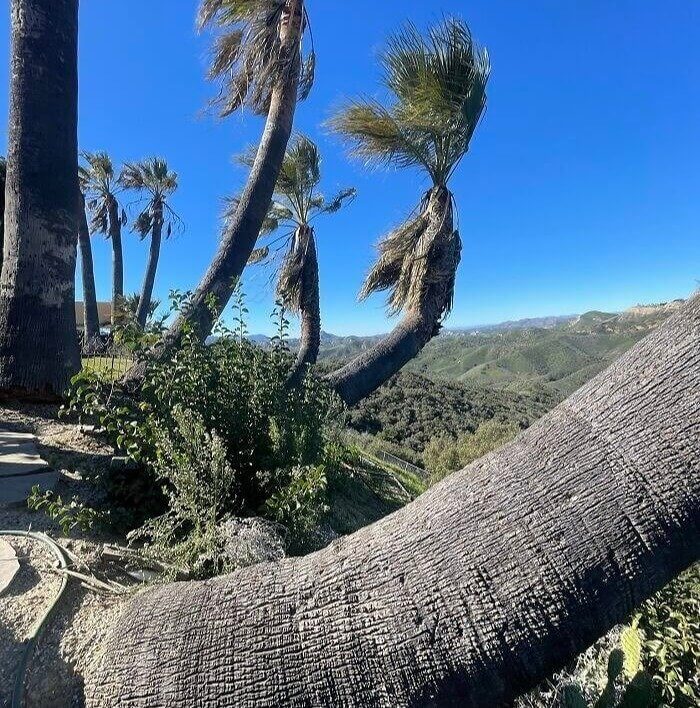 If the Trees Are Bending, the Hill Is Unstable