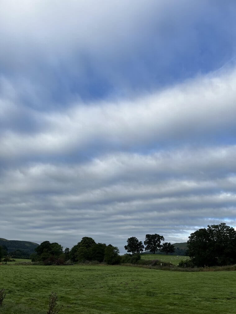 Altostratus: Watery Sun, Steady Precip Ahead