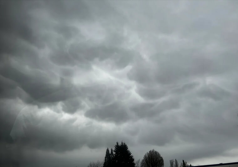 Nimbostratus: All‑Day Soaker