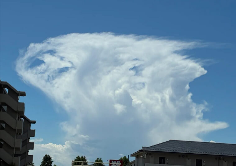 Cumulus Congestus: Towers In Training