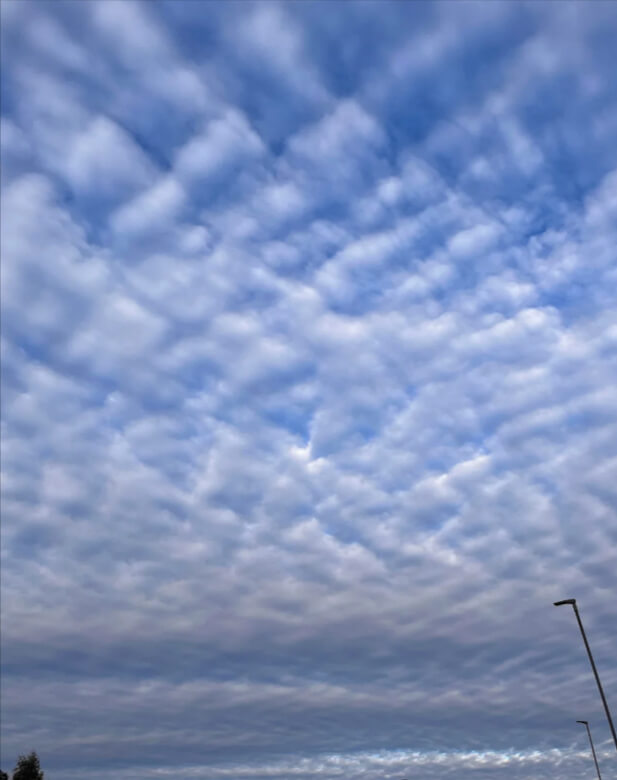 Cirrostratus: Halo Makers, Rain On Deck