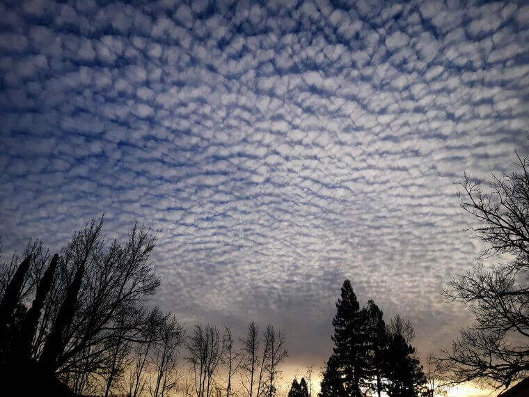 Cirrocumulus: Mackerel Sky, Pattern Shift