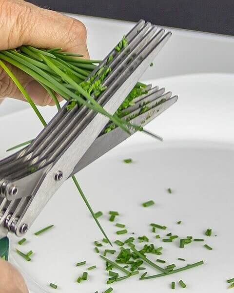 Herb Scissors