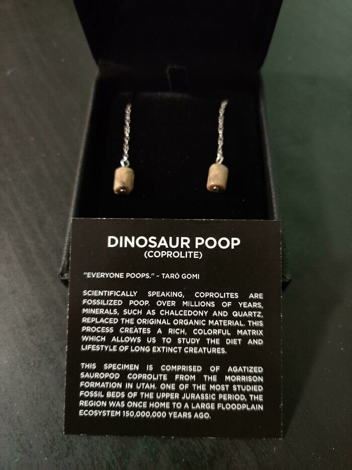 When You Tell Your Husband You Just Want "crappy Earrings" for Christmas... So He Gets You Fossilized Dinosaur Poop