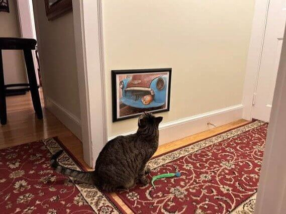 Husband Hangs Artwork to Entertain Their Cat