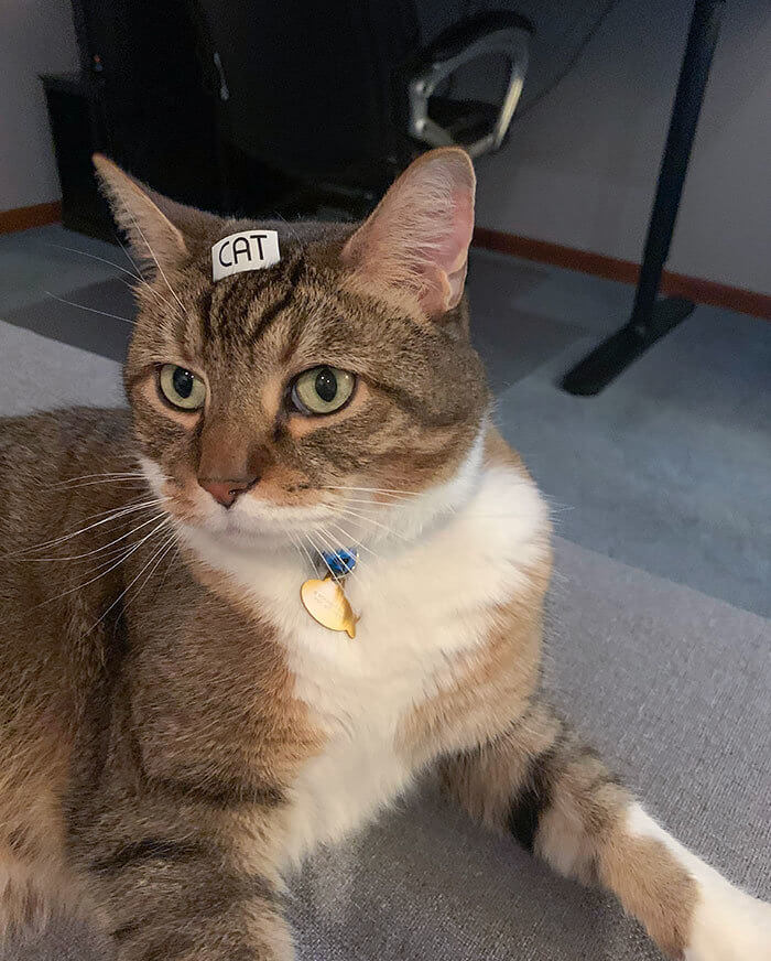 Why a Happy Marriage Needs a Label Maker