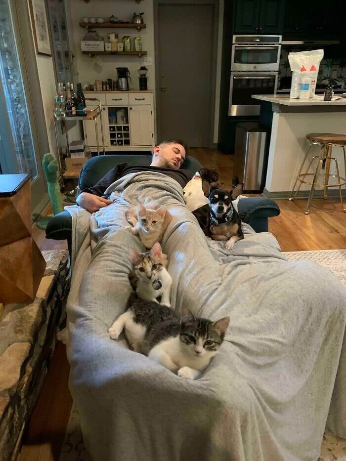 A Husband's Surprise Furry Slumber Party