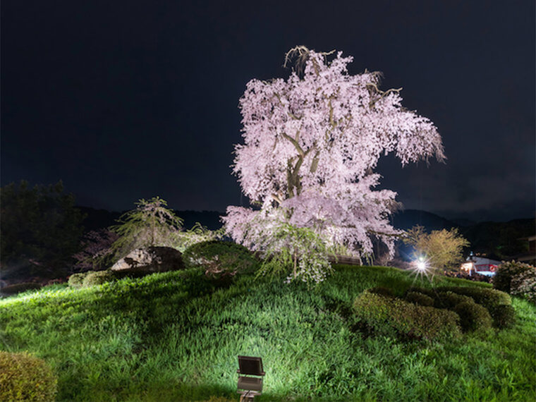 Maruyama Park