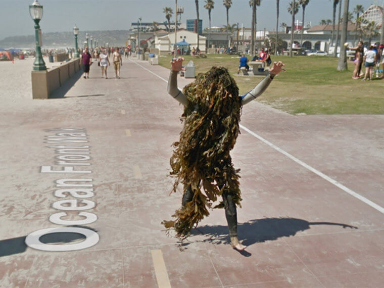 Seaweed Monster