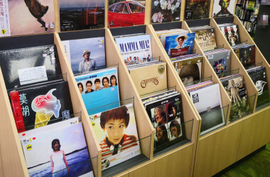 Amusing CD Covers That Really Exist