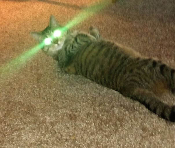 It's A Green Traffic Light, But You Cannot Pass