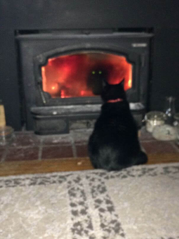 When Your Cat Summons A Demon And It Works