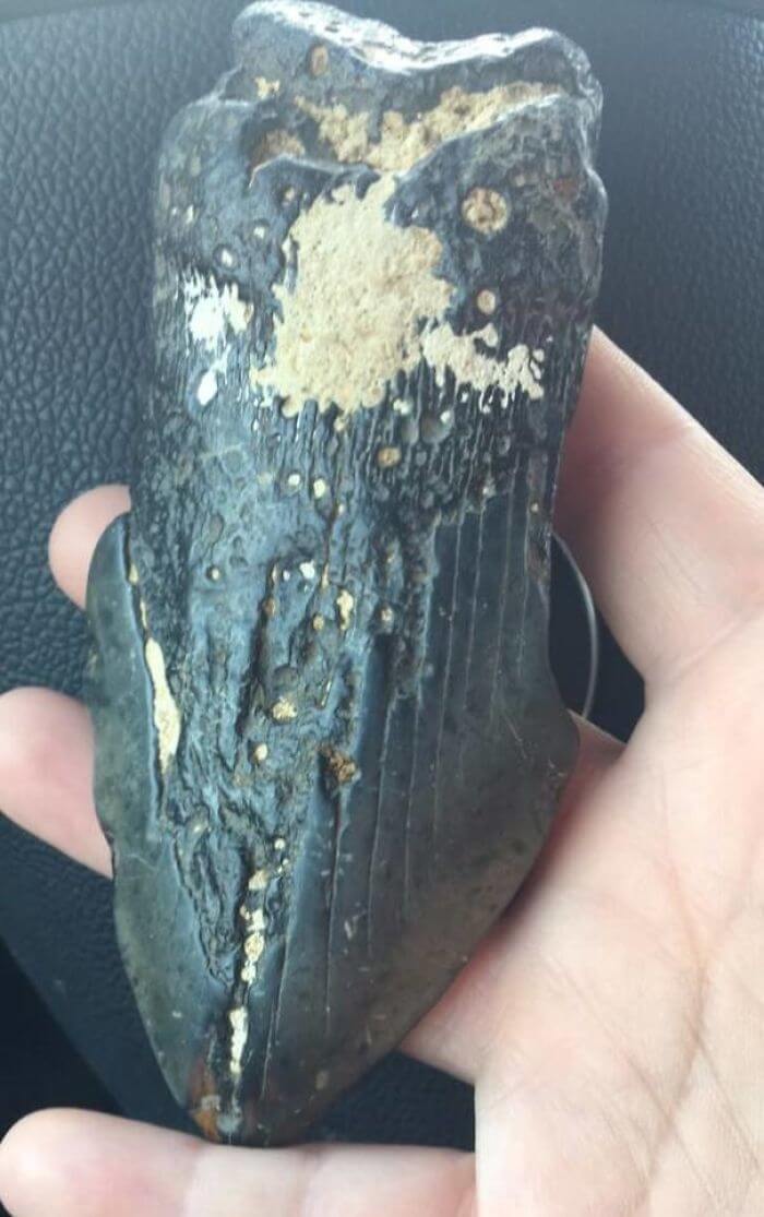 Que Tipo de Rocha É Essa?