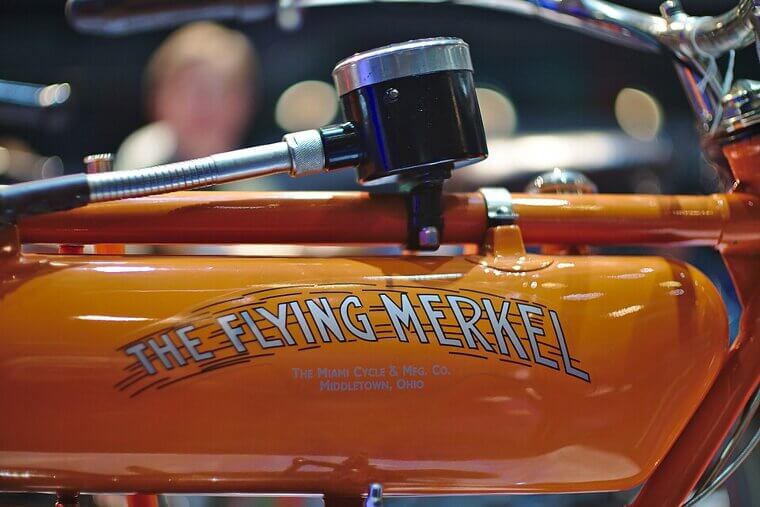 Flying Merkel