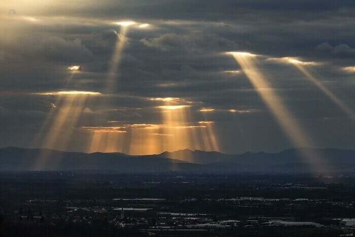 A Collection of Sunrays
