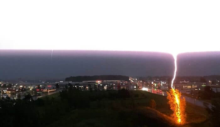 A Lightning Bolt Striking a Tree