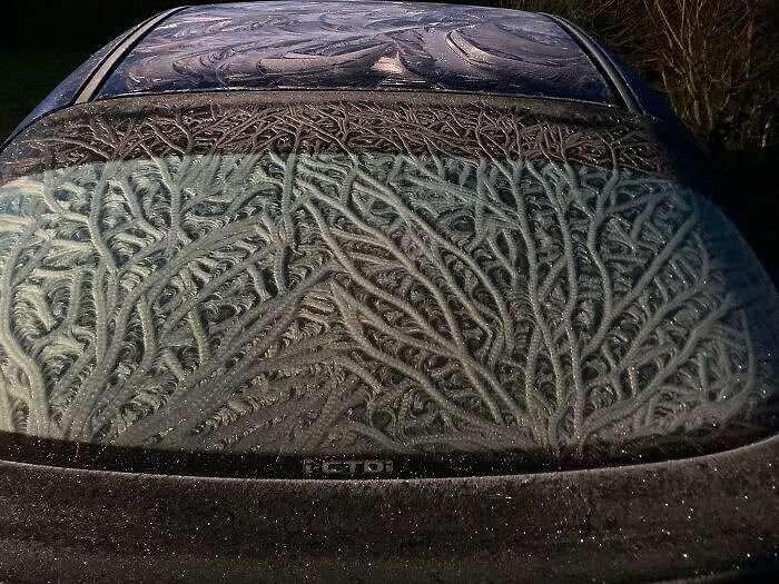 A Frozen Car After a Storm