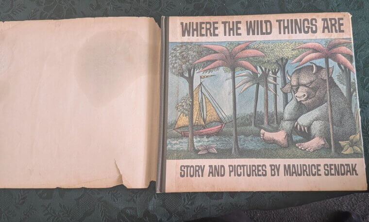 Un libro infantil que de alguna manera se convirti贸 en 25.000 d贸lares