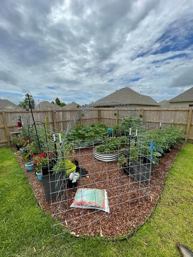 Vegetable Garden