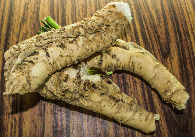 The Zesty Dare of Wisconsin: The "Heritage Hill" Pungent Horseradish Roots