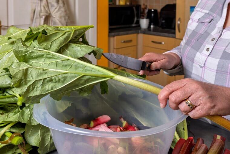 The North Dakota Crust Secret: The "Kitchen Garden" Tart Red Rhubarb
