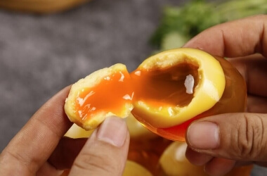 The 500-Mile Garden: One Woman’s Journey Through the United States to Replant Her Childhood Memories