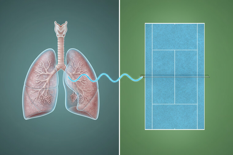 Your Lungs Unfolded Could Cover a Tennis Court