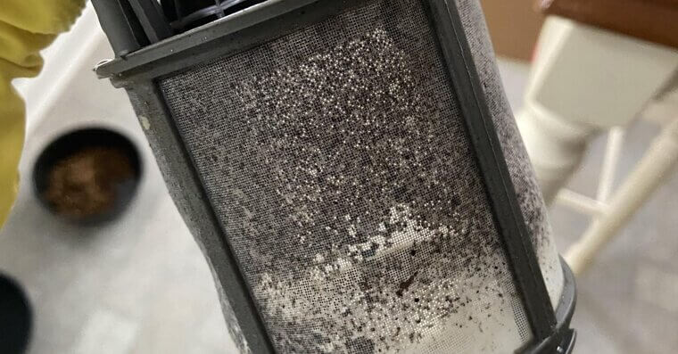 Empty the Dishwasher Filter