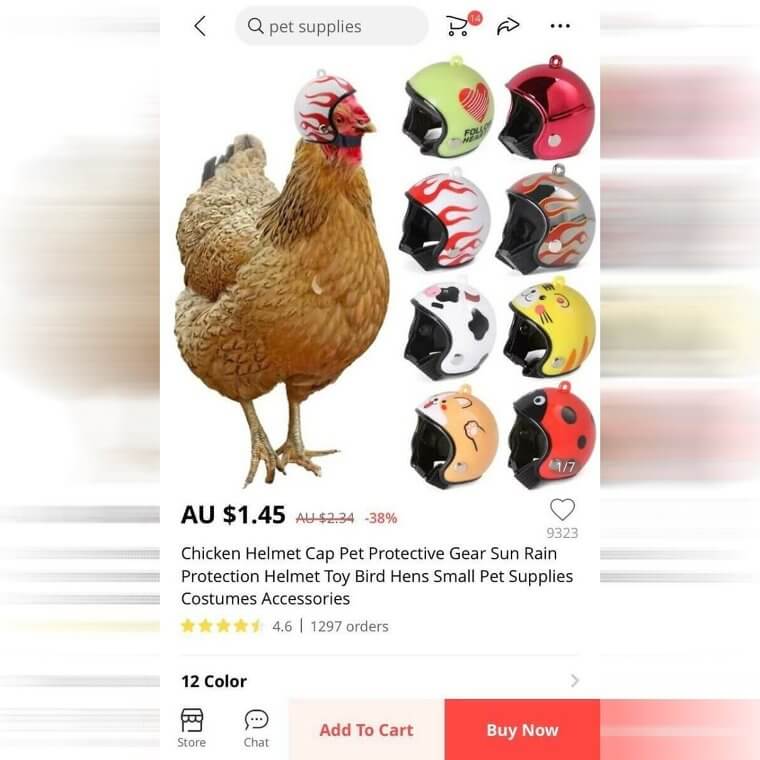 Un casque pour ton poulet